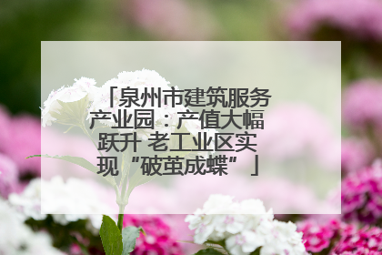 泉州市建筑服务产业园：产值大幅跃升 老工业区实现“破茧成蝶”