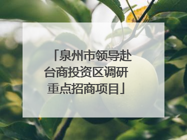 泉州市领导赴台商投资区调研重点招商项目