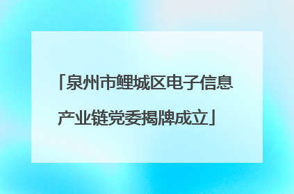泉州市鲤城区电子信息产业链党委揭牌成立