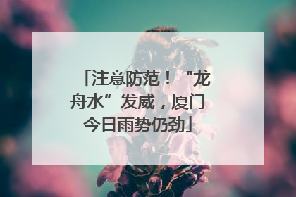注意防范！“龙舟水”发威，厦门今日雨势仍劲