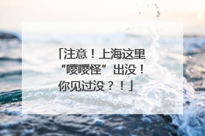 注意！上海这里“嘤嘤怪”出没！你见过没？！