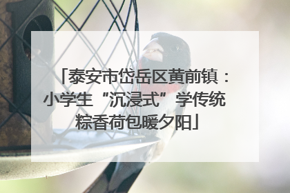 泰安市岱岳区黄前镇：小学生“沉浸式”学传统 粽香荷包暖夕阳