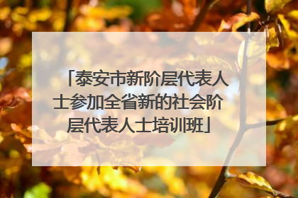 泰安市新阶层代表人士参加全省新的社会阶层代表人士培训班