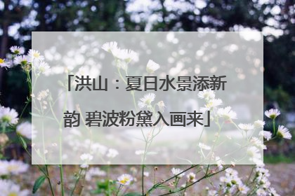 洪山：夏日水景添新韵 碧波粉黛入画来