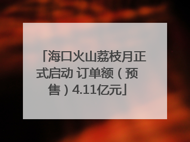 海口火山荔枝月正式启动 订单额（预售）4.11亿元