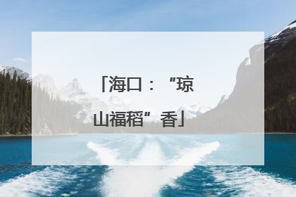 海口：“琼山福稻”香