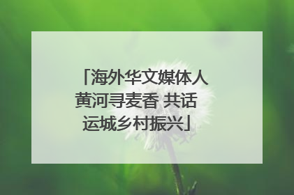 海外华文媒体人黄河寻麦香 共话运城乡村振兴