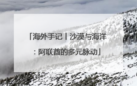 海外手记丨沙漠与海洋：阿联酋的多元脉动