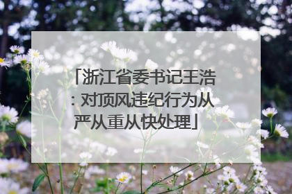 浙江省委书记王浩：对顶风违纪行为从严从重从快处理