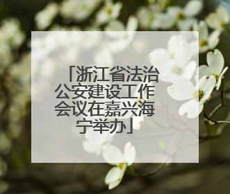 浙江省法治公安建设工作会议在嘉兴海宁举办