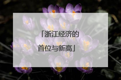浙江经济的首位与新高