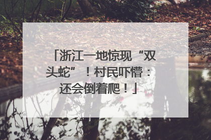 浙江一地惊现“双头蛇”！村民吓懵：还会倒着爬！