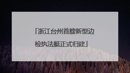 浙江台州首艘新型边检执法艇正式归建