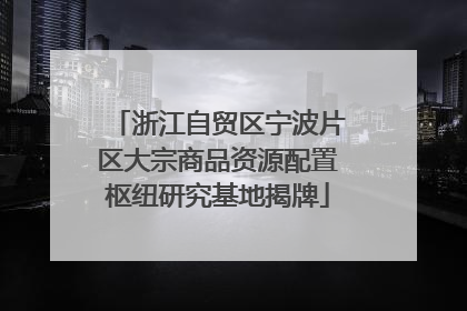 浙江自贸区宁波片区大宗商品资源配置枢纽研究基地揭牌