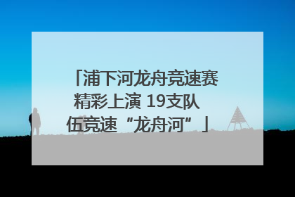 浦下河龙舟竞速赛精彩上演 19支队伍竞速“龙舟河”