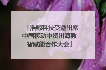 浩鲸科技受邀出席中国移动中资出海数智赋能合作大会
