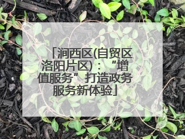 涧西区(自贸区洛阳片区)：“增值服务”打造政务服务新体验