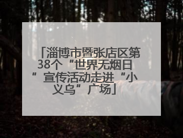 淄博市暨张店区第38个“世界无烟日”宣传活动走进“小义乌”广场