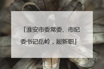 淮安市委常委、市纪委书记岳岭，履新职