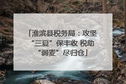 淮滨县税务局：攻坚“三夏”保丰收 税助“弱麦”尽归仓
