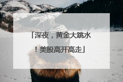 深夜，黄金大跳水！美股高开高走