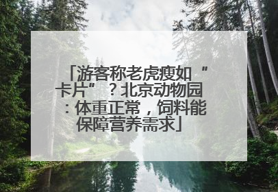 游客称老虎瘦如“卡片”？北京动物园：体重正常，饲料能保障营养需求