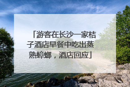 游客在长沙一家桔子酒店早餐中吃出蒸熟蟑螂，酒店回应