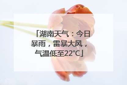 湖南天气：今日暴雨，雷暴大风，气温低至22℃