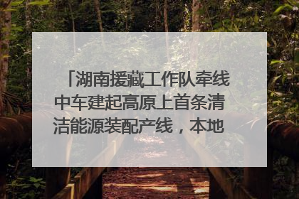 湖南援藏工作队牵线中车建起高原上首条清洁能源装配产线，本地大学生成车间检验员