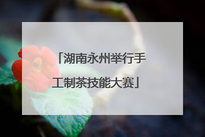 湖南永州举行手工制茶技能大赛
