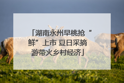 湖南永州早桃抢“鲜”上市 夏日采摘游带火乡村经济