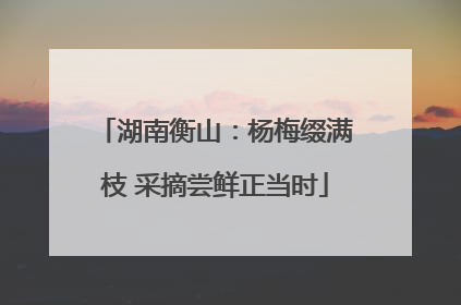 湖南衡山：杨梅缀满枝 采摘尝鲜正当时
