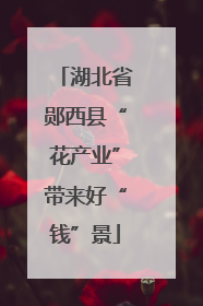 湖北省郧西县“花产业”带来好“钱”景