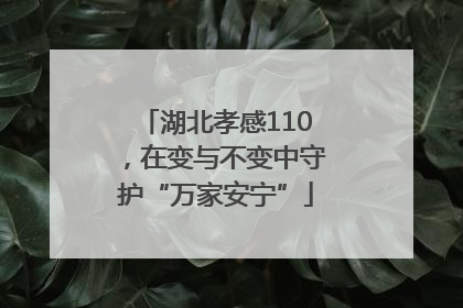 湖北孝感110，在变与不变中守护“万家安宁”