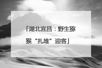湖北宜昌：野生猕猴“扎堆”迎客
