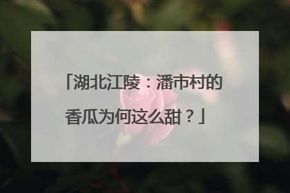 湖北江陵：潘市村的香瓜为何这么甜？