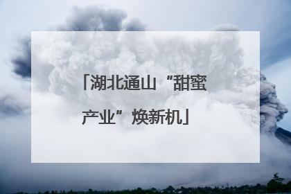 湖北通山“甜蜜产业”焕新机