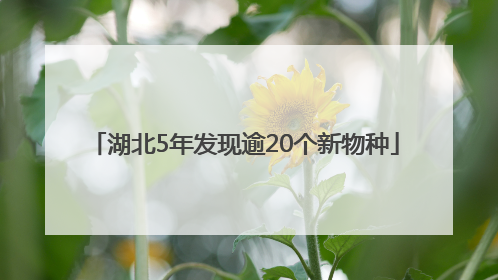 湖北5年发现逾20个新物种