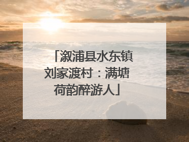 溆浦县水东镇刘家渡村：满塘荷韵醉游人