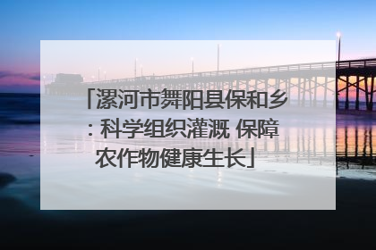 漯河市舞阳县保和乡：科学组织灌溉 保障农作物健康生长