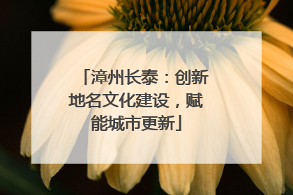 漳州长泰：创新地名文化建设，赋能城市更新