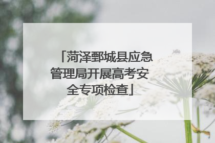 菏泽鄄城县应急管理局开展高考安全专项检查