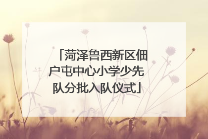 菏泽鲁西新区佃户屯中心小学少先队分批入队仪式