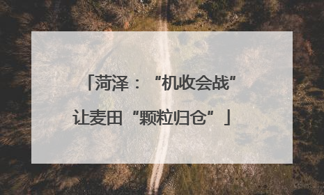 菏泽：“机收会战”让麦田“颗粒归仓”