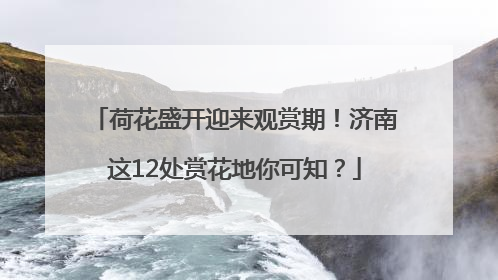 荷花盛开迎来观赏期！济南这12处赏花地你可知？