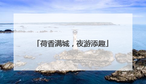 荷香满城，夜游添趣