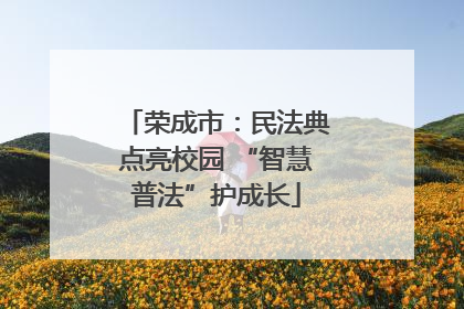 荣成市：民法典点亮校园 “智慧普法”护成长