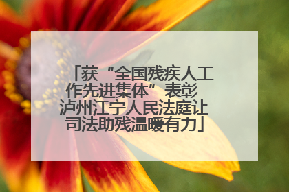 获“全国残疾人工作先进集体”表彰 泸州江宁人民法庭让司法助残温暖有力