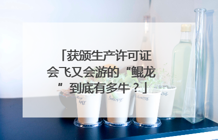 获颁生产许可证 会飞又会游的“鲲龙”到底有多牛？