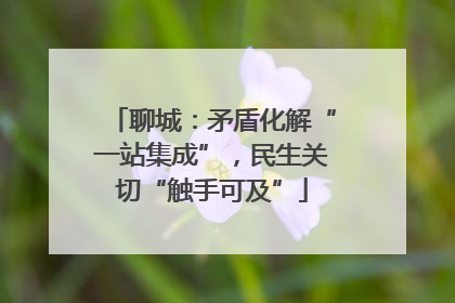 聊城：矛盾化解“一站集成”，民生关切“触手可及”